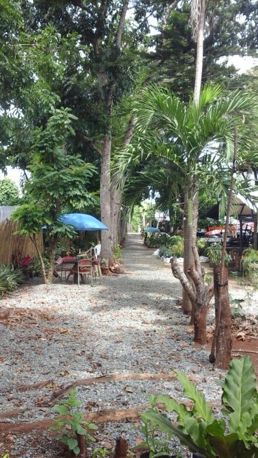 Larmar Bed And Breakfast بويرتو برينسيسا الغرفة الصورة